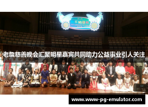 老詹慈善晚会汇聚明星嘉宾共同助力公益事业引人关注