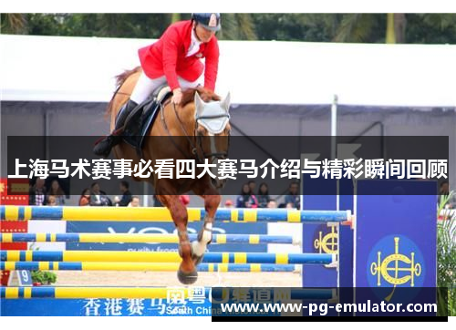 上海马术赛事必看四大赛马介绍与精彩瞬间回顾