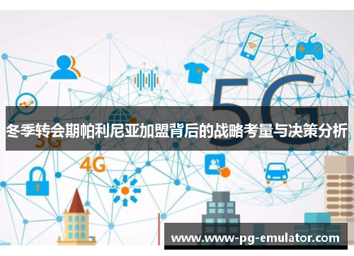 冬季转会期帕利尼亚加盟背后的战略考量与决策分析