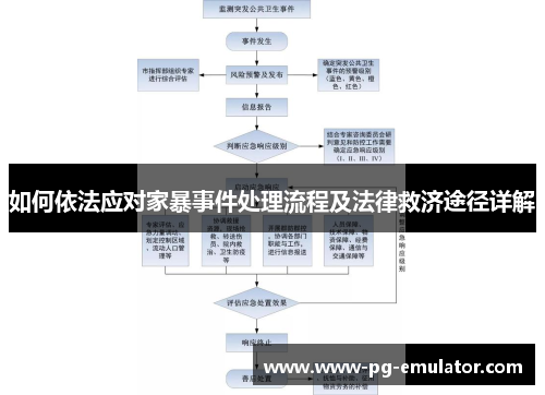 如何依法应对家暴事件处理流程及法律救济途径详解
