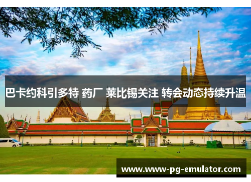 巴卡约科引多特 药厂 莱比锡关注 转会动态持续升温