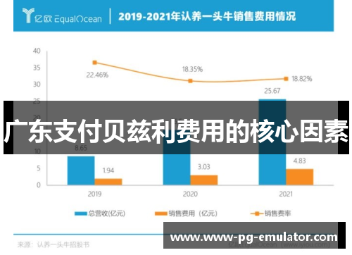 广东支付贝兹利费用的核心因素