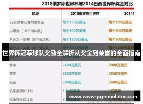 世界杯冠军球队奖励全解析从奖金到荣誉的全面指南
