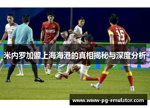 米内罗加盟上海海港的真相揭秘与深度分析