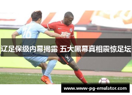 辽足保级内幕揭露 五大黑幕真相震惊足坛 辽足保级内幕揭露 五大黑幕真相震惊足坛