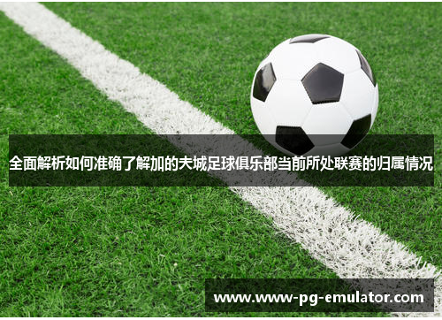 全面解析如何准确了解加的夫城足球俱乐部当前所处联赛的归属情况