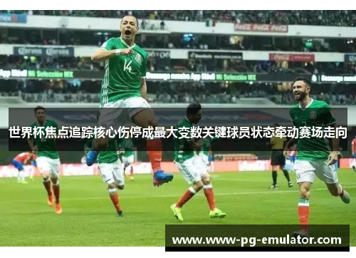 世界杯焦点追踪核心伤停成最大变数关键球员状态牵动赛场走向